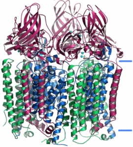 fig6-1