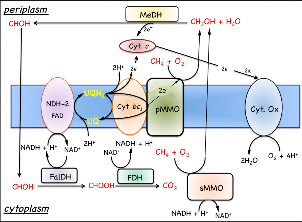 fig7-4