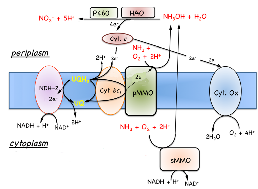 fig7-5