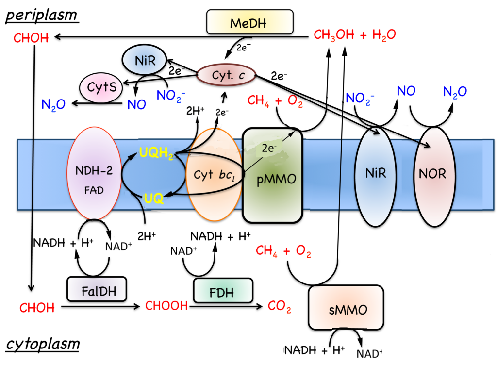 fig7-6